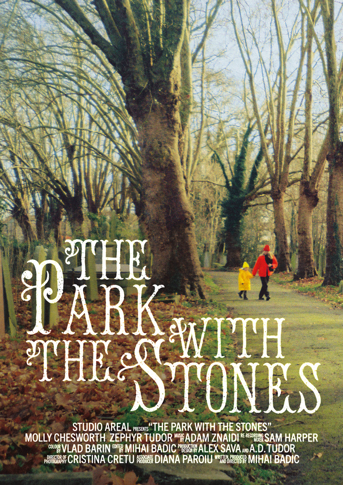 The Park with the Stones — poster